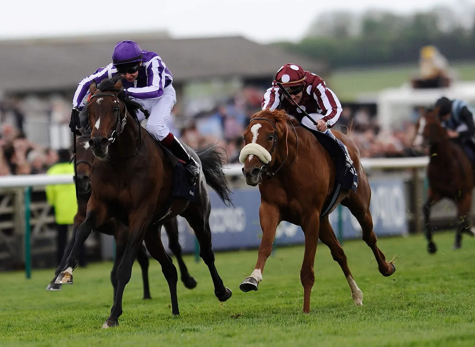 Horse Racing Discussion